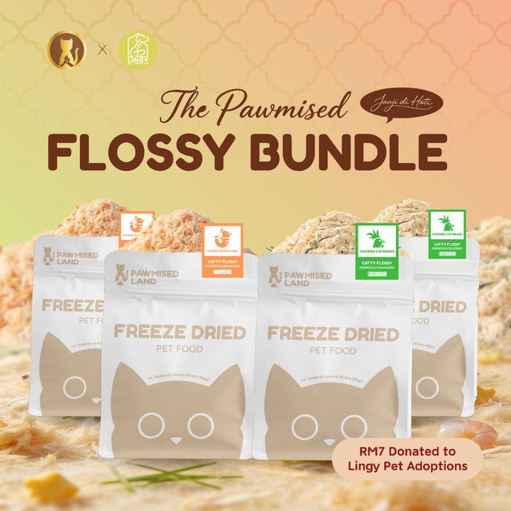 The Pawmised Flossy Bundle