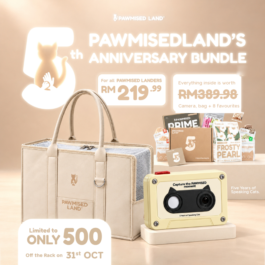Pawmised Land's - Speaking Cats 5th Anniversary Bundle
