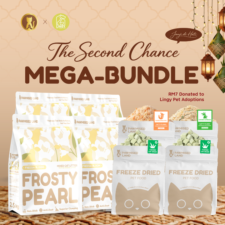 The "Second Chance" Mega-Bundle