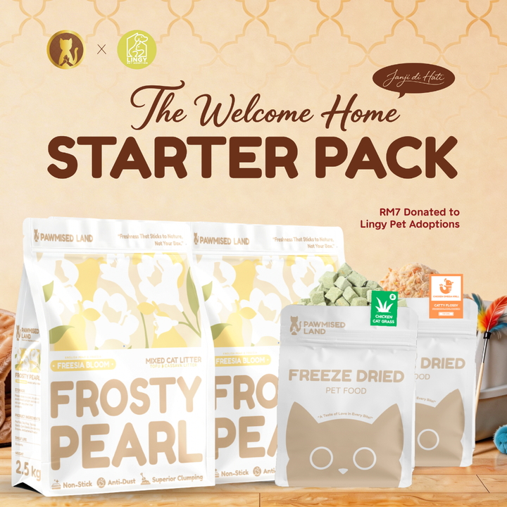 The "Welcome Home" Starter Pack