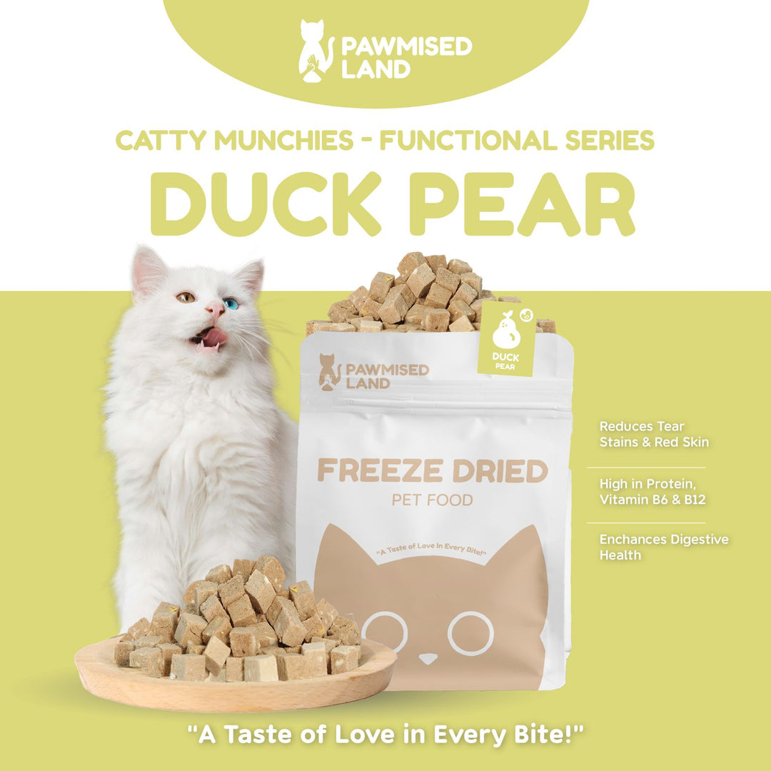 Catty Munchies - Functional Series