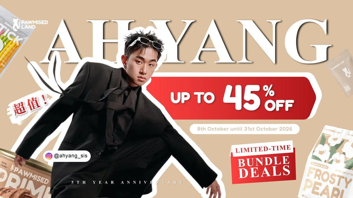 Ah Yang x Pawmised Land 5th anniversary group buy, up to 45% off bundle deals, 8 to 31 October 2026