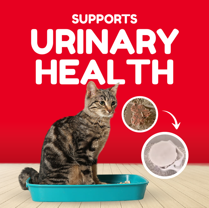 Pawmised Functional Trio Series