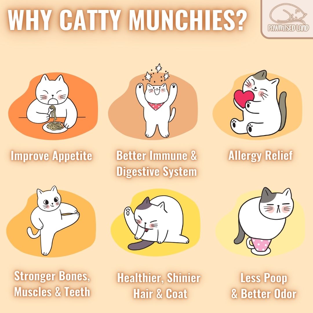 Catty Munchies - Functional Series