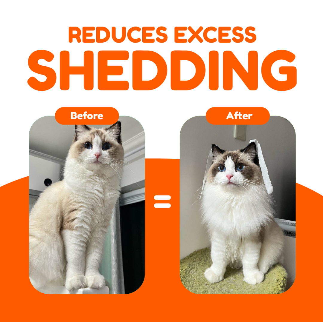 Pawmised Functional Trio Series