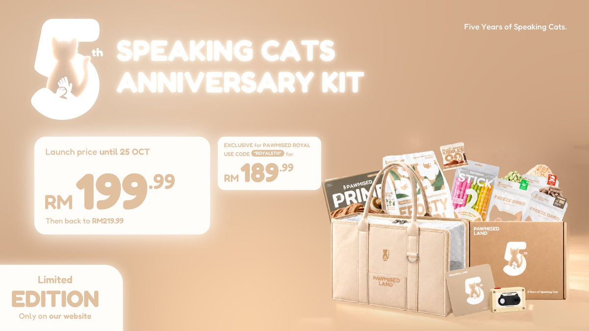 Speaking Cats Anniversary Kit. Launch price RM199.99 until 25 Oct, then back to RM219.99. Pawmised Royals pay RM189.99 with code ROYAL5TH. Limited edition, only on our website.