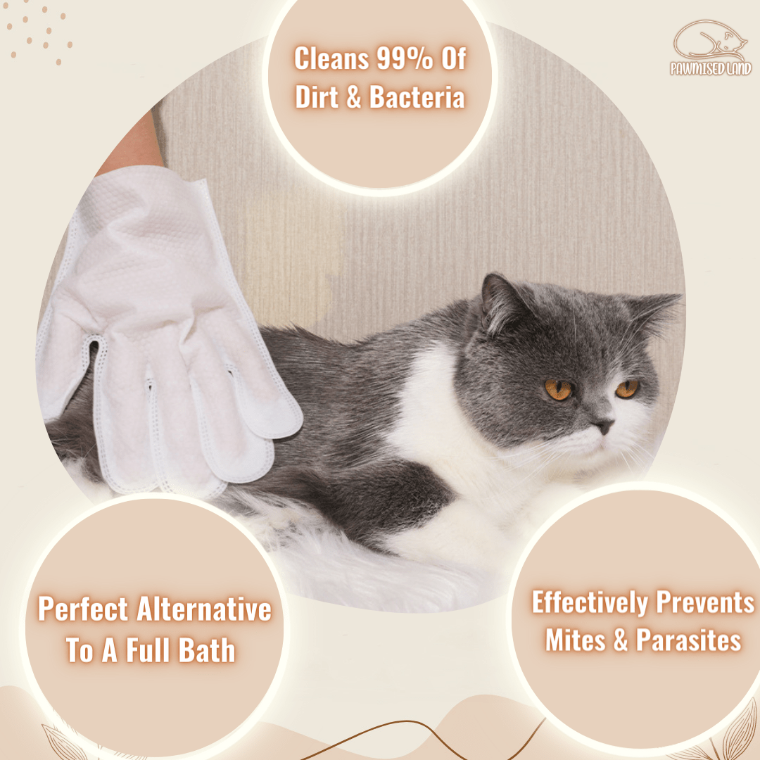 PawmisedLand Furry BathWorks - Cat Bathing Glove